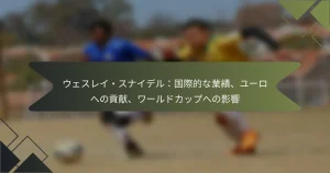 ウェスレイ・スナイデル：国際的な業績、ユーロへの貢献、ワールドカップへの影響