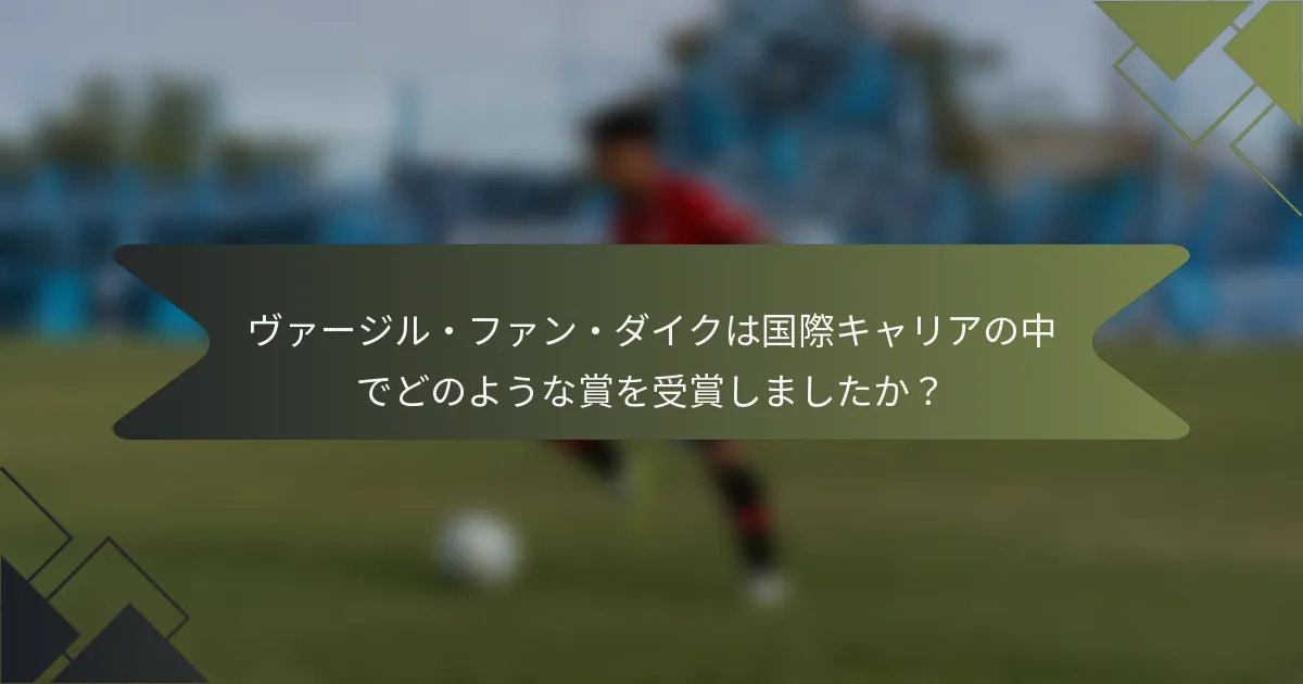 ヴァージル・ファン・ダイクは国際キャリアの中でどのような賞を受賞しましたか?